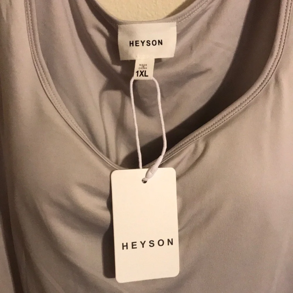 Gray Fitted Bodysuit with Scoop Neck - Picture 2 of 4